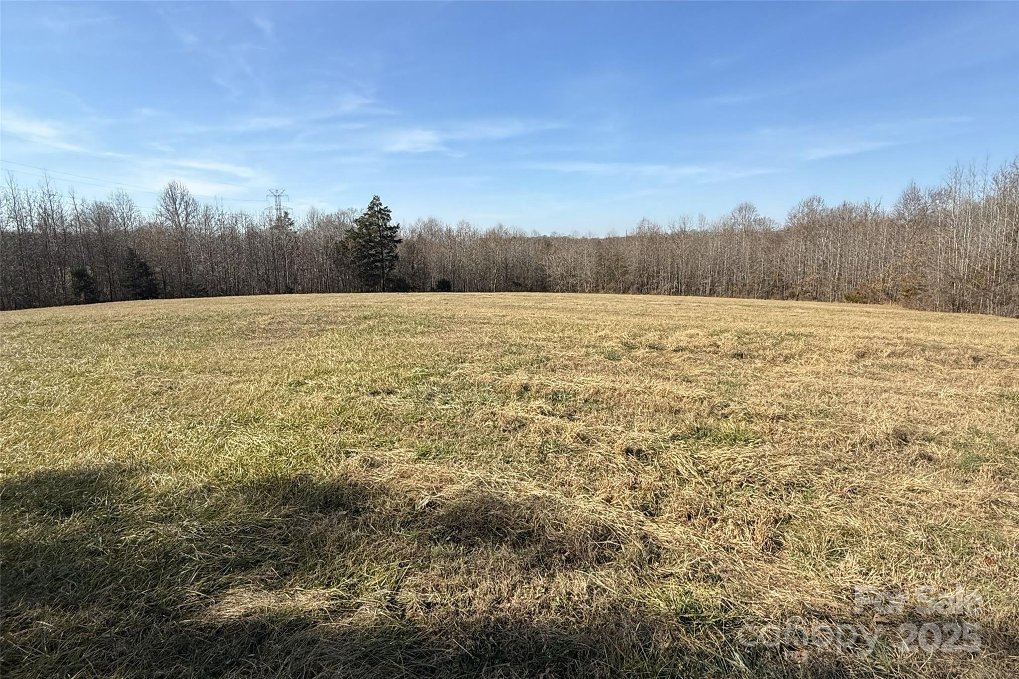 Lot C Ramah Church Road Blacksburg, SC 29702 - Photo 9 of 22