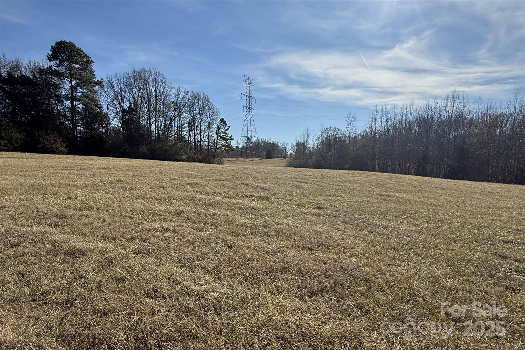 Lot C Ramah Church Road Blacksburg, SC 29702 - Photo 10 of 22