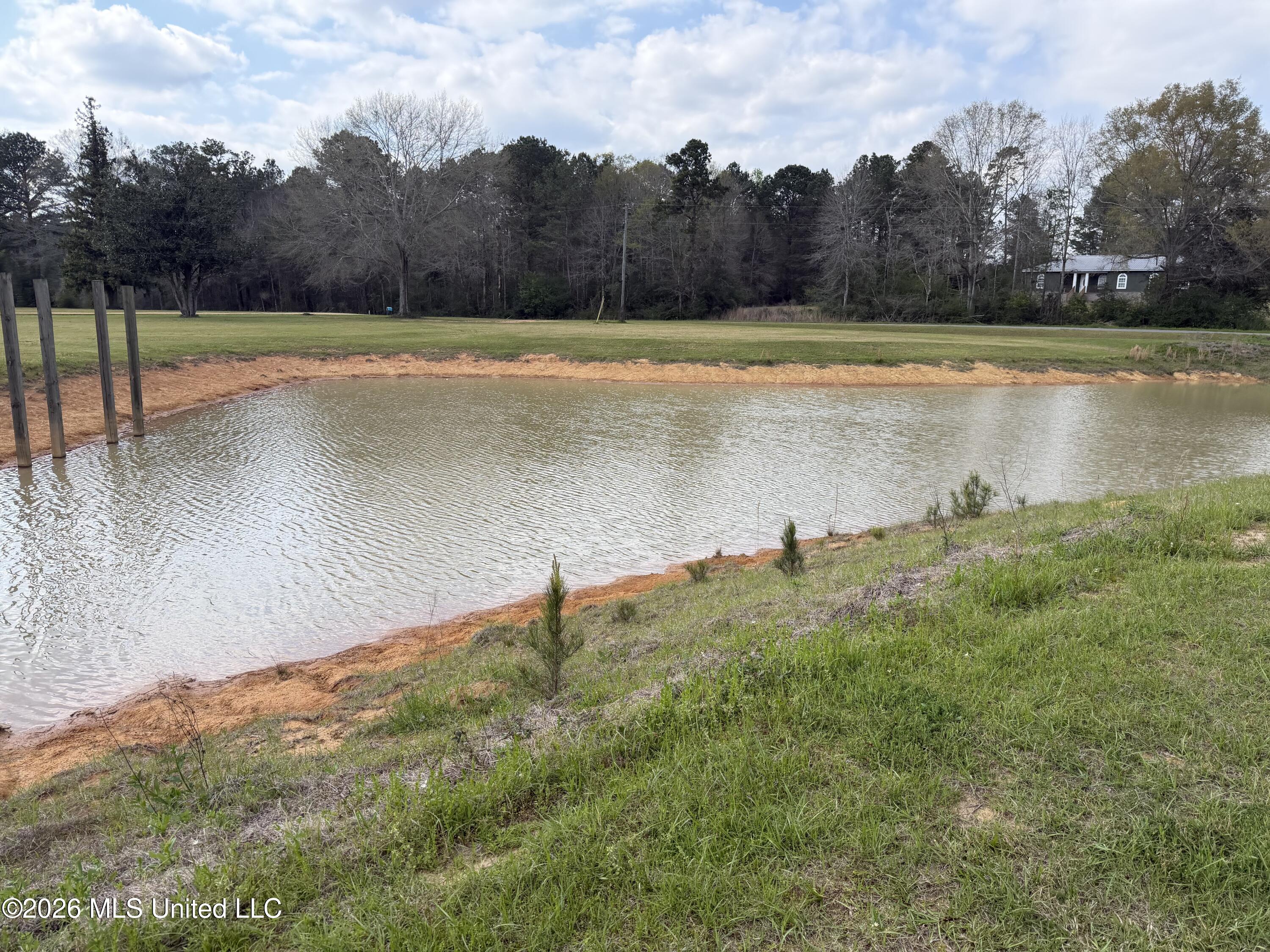 464 Goss Bunker Hill Road Columbia, MS 39429 - Photo 21 of 26 pond