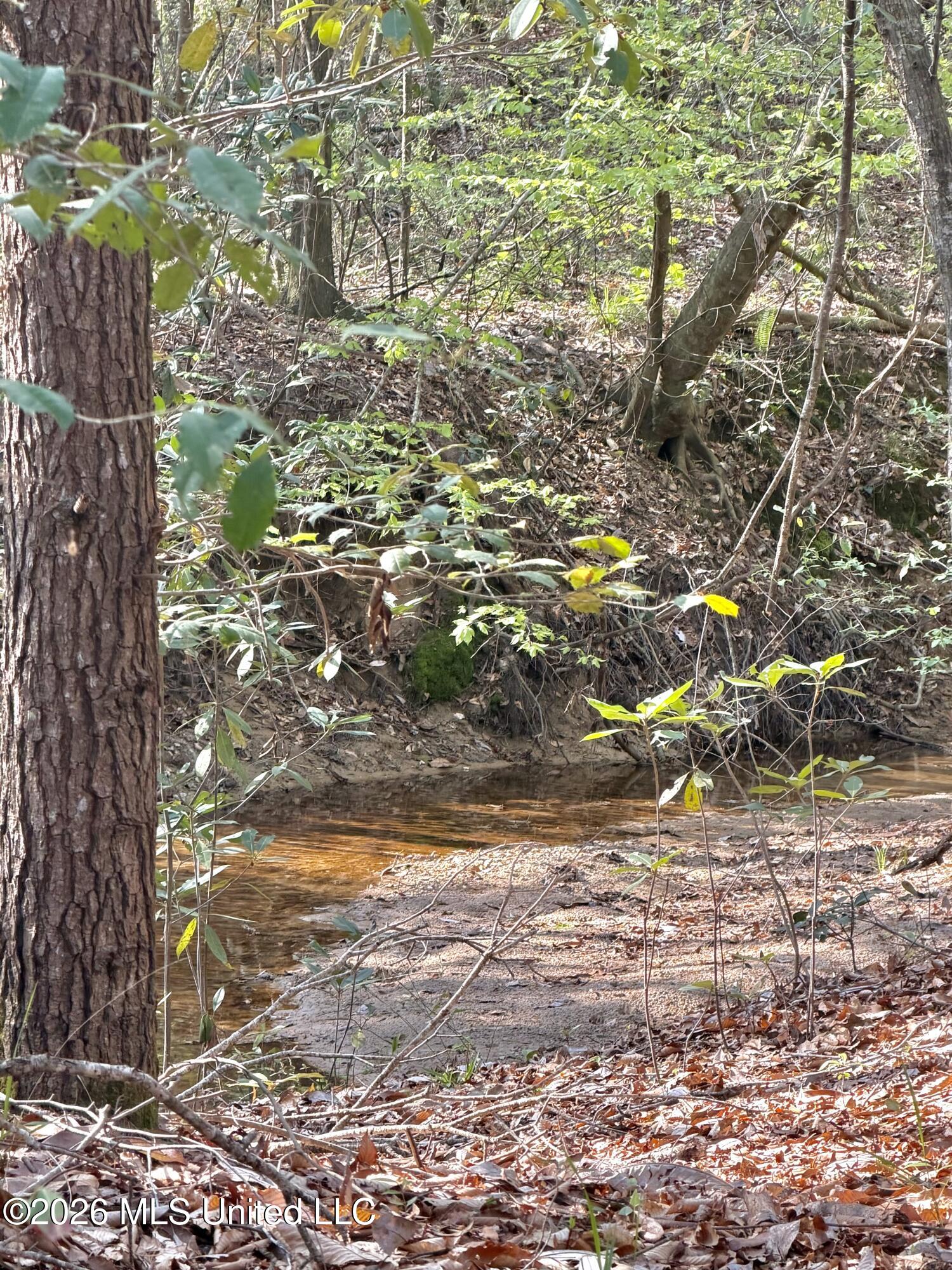 464 Goss Bunker Hill Road Columbia, MS 39429 - Photo 24 of 26 stream
