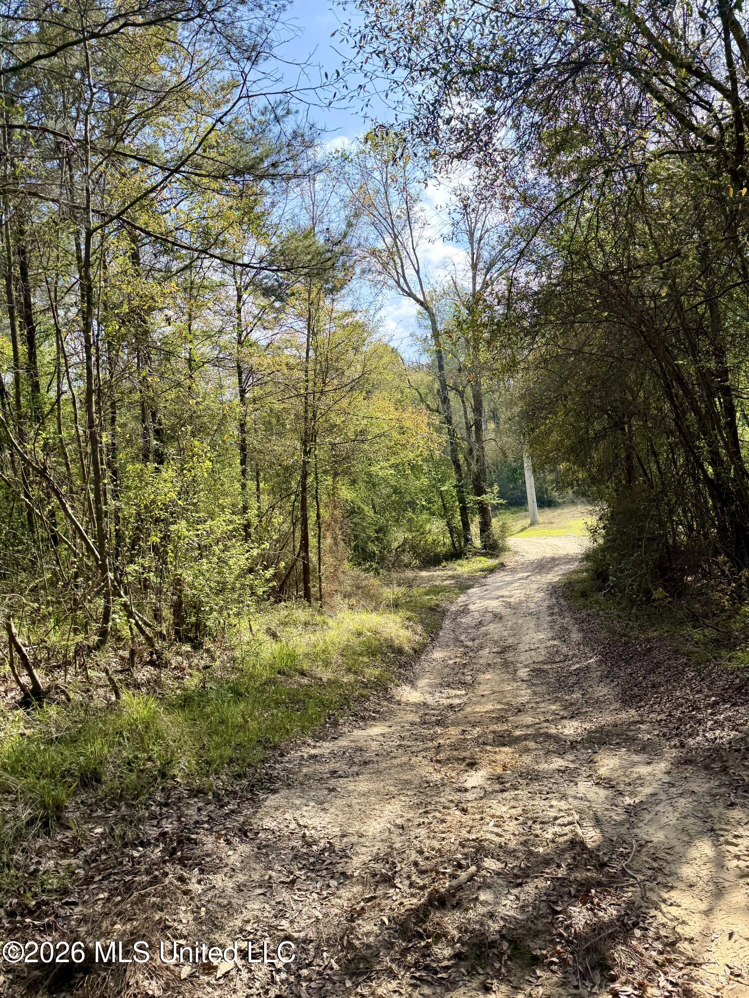 464 Goss Bunker Hill Road Columbia, MS 39429 - Photo 25 of 26 trail