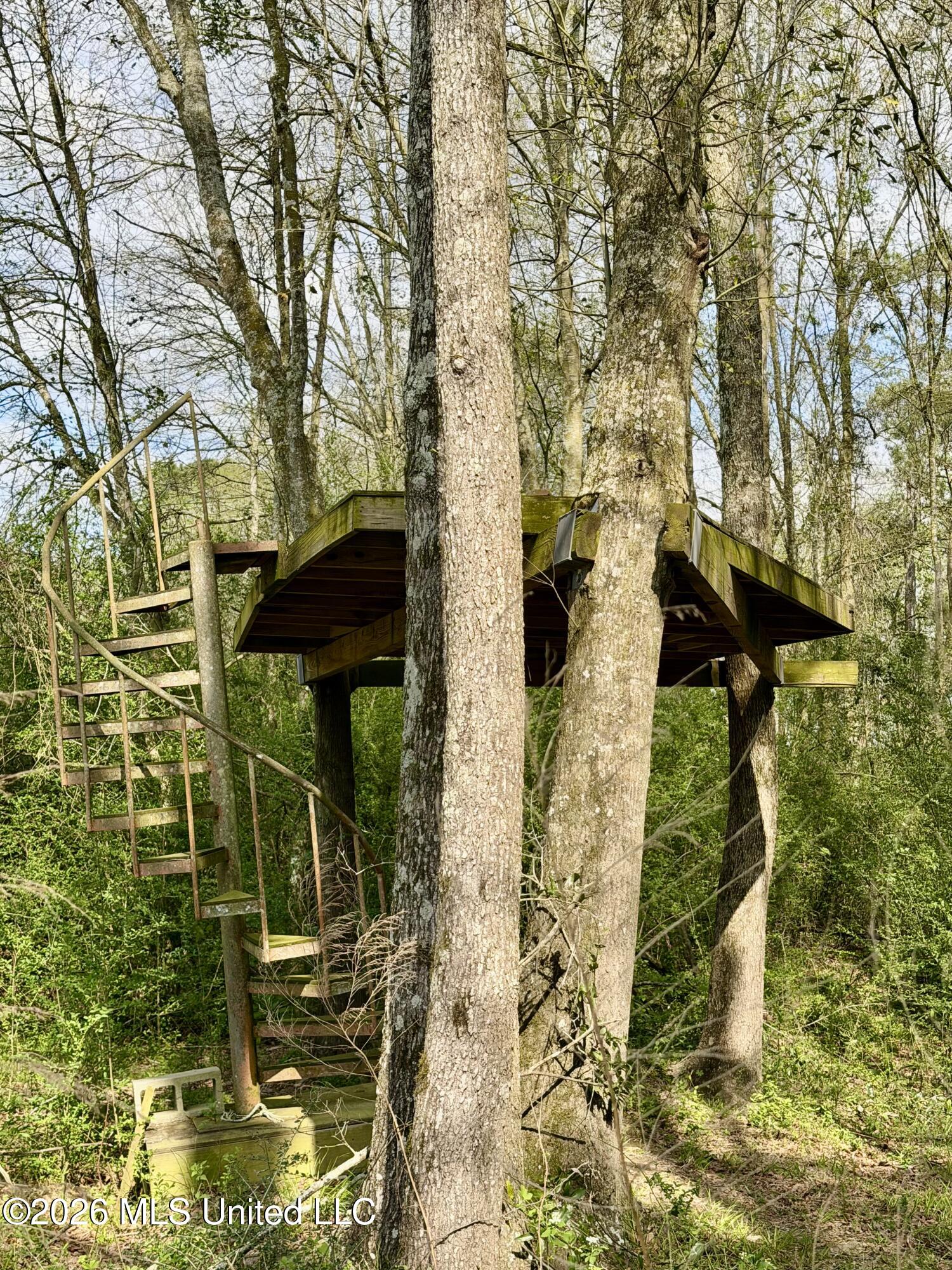 464 Goss Bunker Hill Road Columbia, MS 39429 - Photo 26 of 26 treehouse