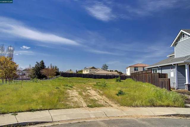a view of a yard and front door