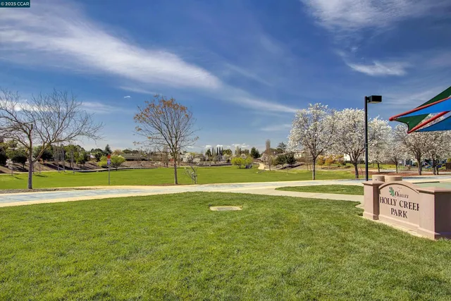 a view of a park with large trees