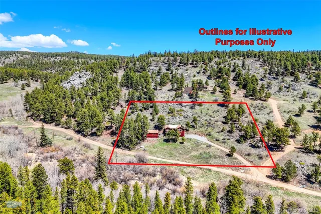 a view of a bunch of flowers