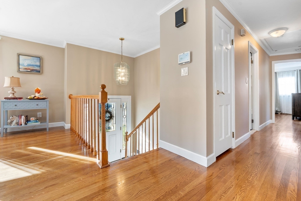 11 Danby Road Stoneham, MA 02180 - Photo 19 of 42 Gallery Image 19
