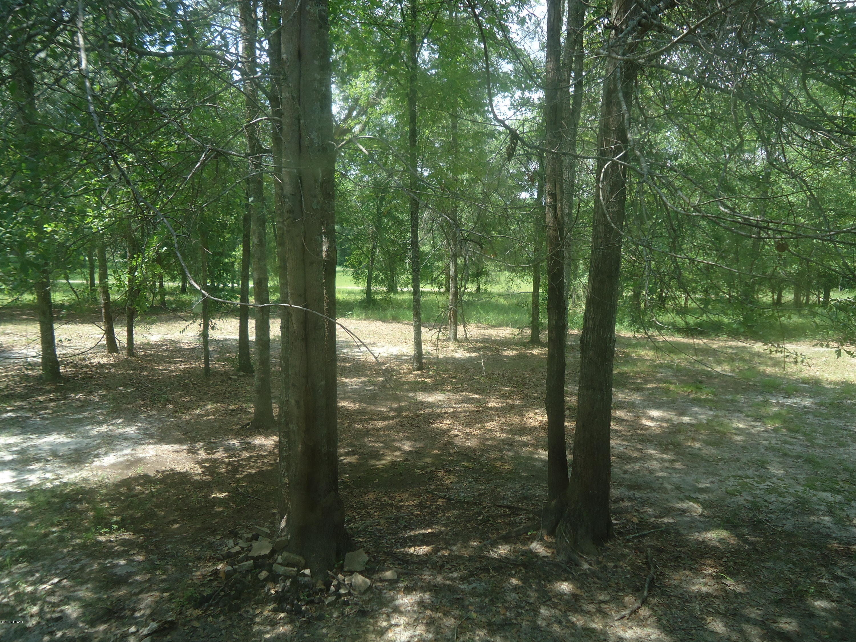 6587 Grande Oak Grand Ridge Grand Ridge, FL 32442 - Photo 26 of 28 Gallery Image 26