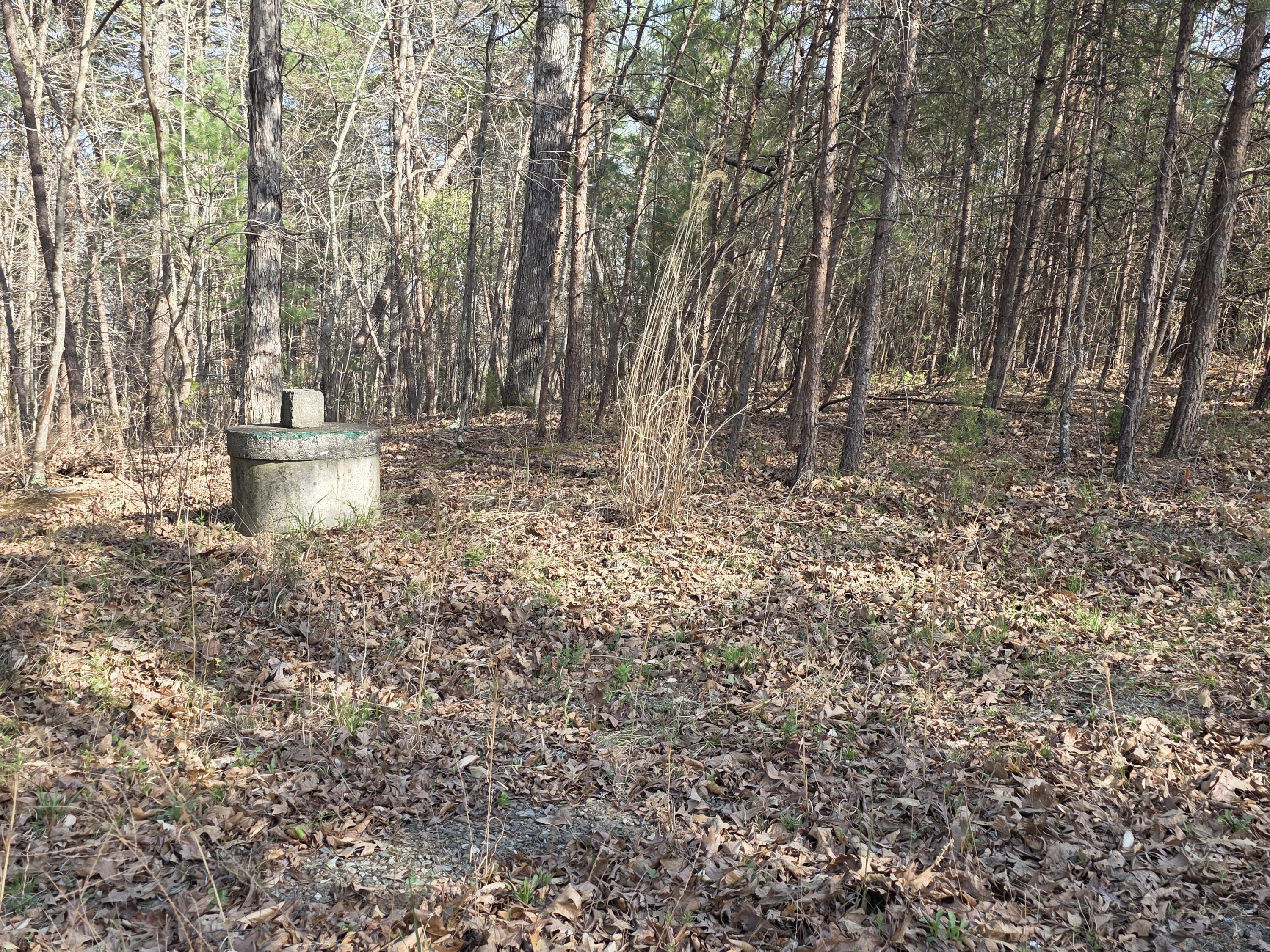 0 Knob Church Road Henry, VA 24102 - Photo 11 of 13 a view of a yard with large trees