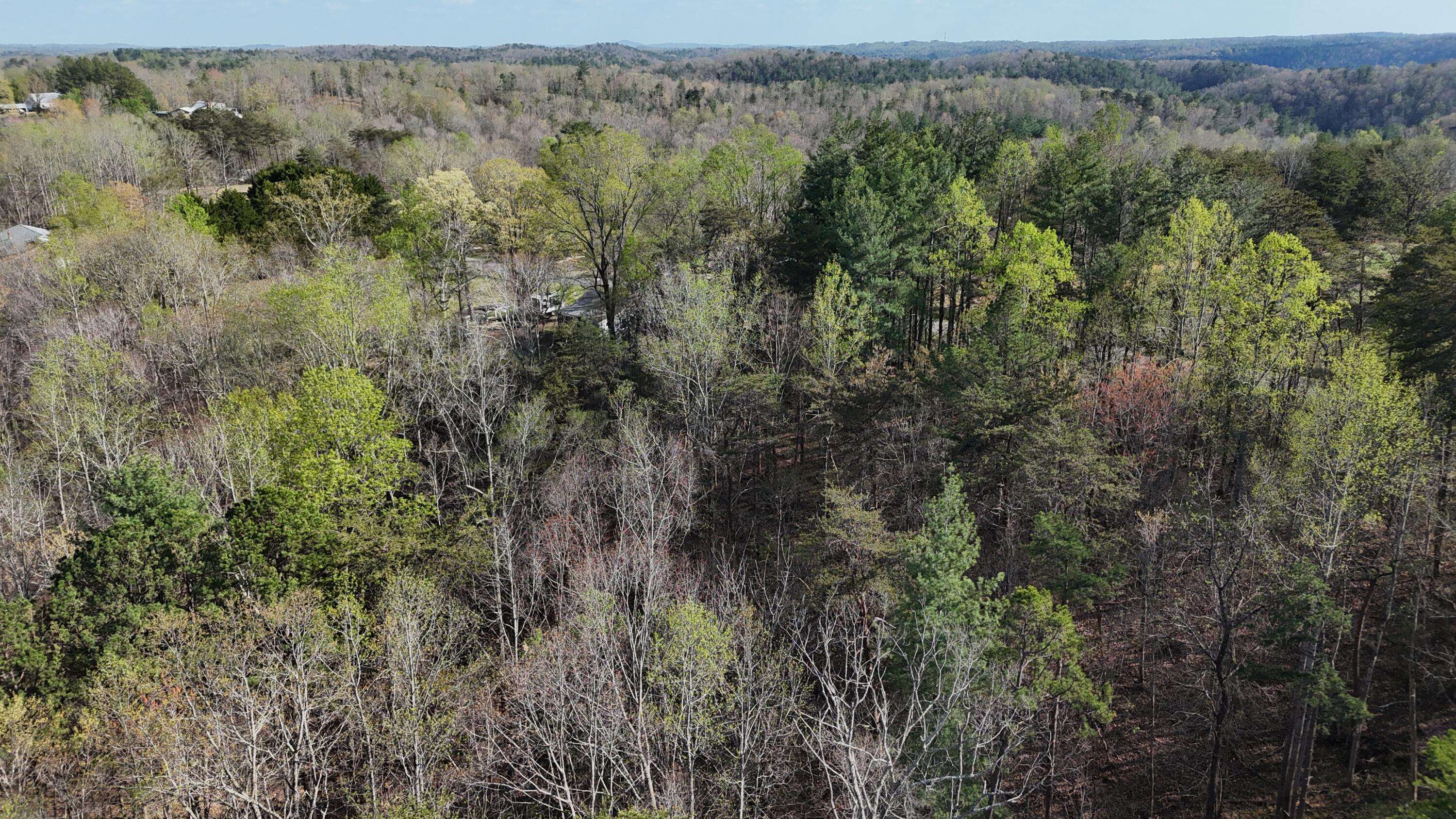 0 Knob Church Road Henry, VA 24102 - Photo 4 of 13 a view of a forest with trees in the background