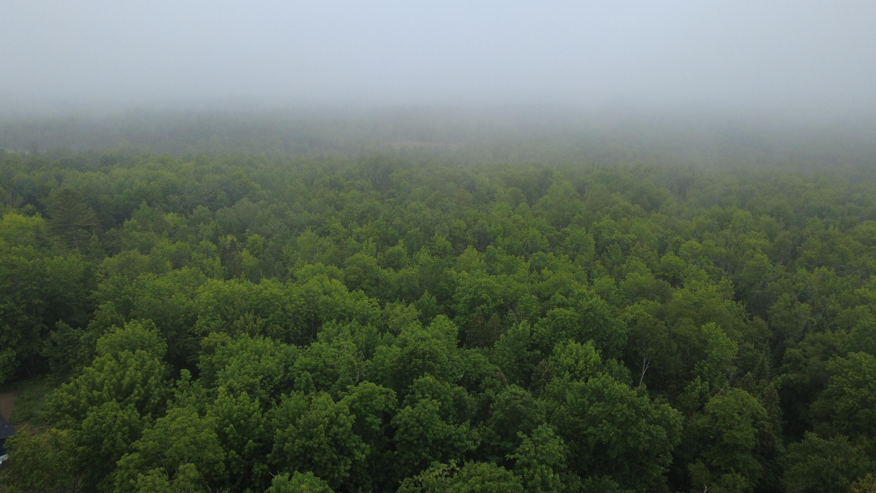 Lot 4.111 Lyford Road Milo, ME 04463 - Photo 6 of 6 Aerial