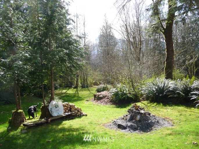 54790 Conrad Road Rockport, WA 98283 - Photo 8 of 17 Gallery Image 8