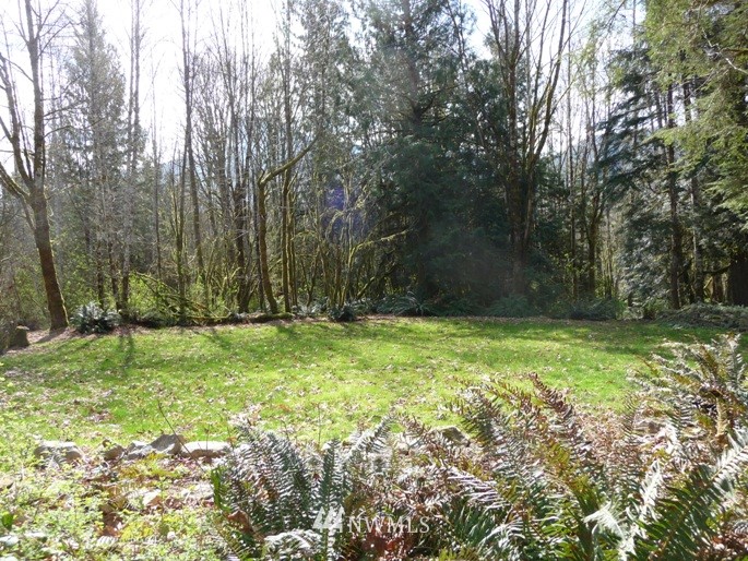 54790 Conrad Road Rockport, WA 98283 - Photo 9 of 17 Gallery Image 9