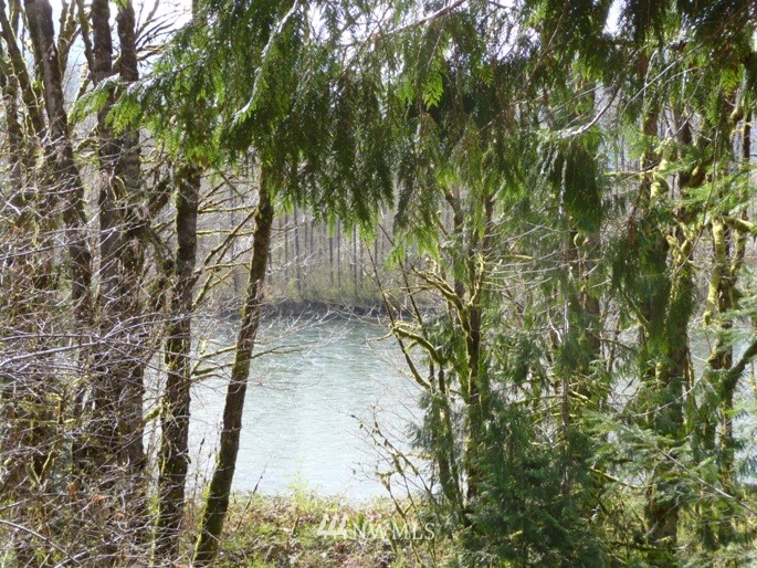 54790 Conrad Road Rockport, WA 98283 - Photo 10 of 17 Gallery Image 10