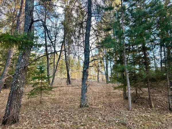 $26,500 | Tbd East Tbd E Blueberry River Drive, Menahga, MN 56464