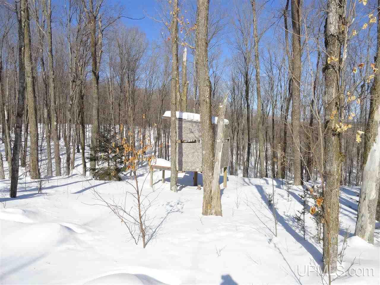 180-acres Lind Road Crystal Falls, MI 49920 - Photo 30 of 33 Gallery Image 30