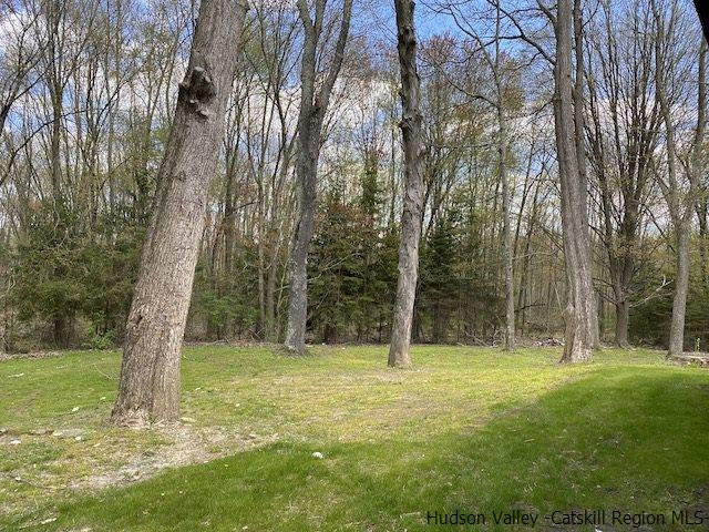 321 Orchard Road Highland, NY 12528 - Photo 22 of 23 Photo 22