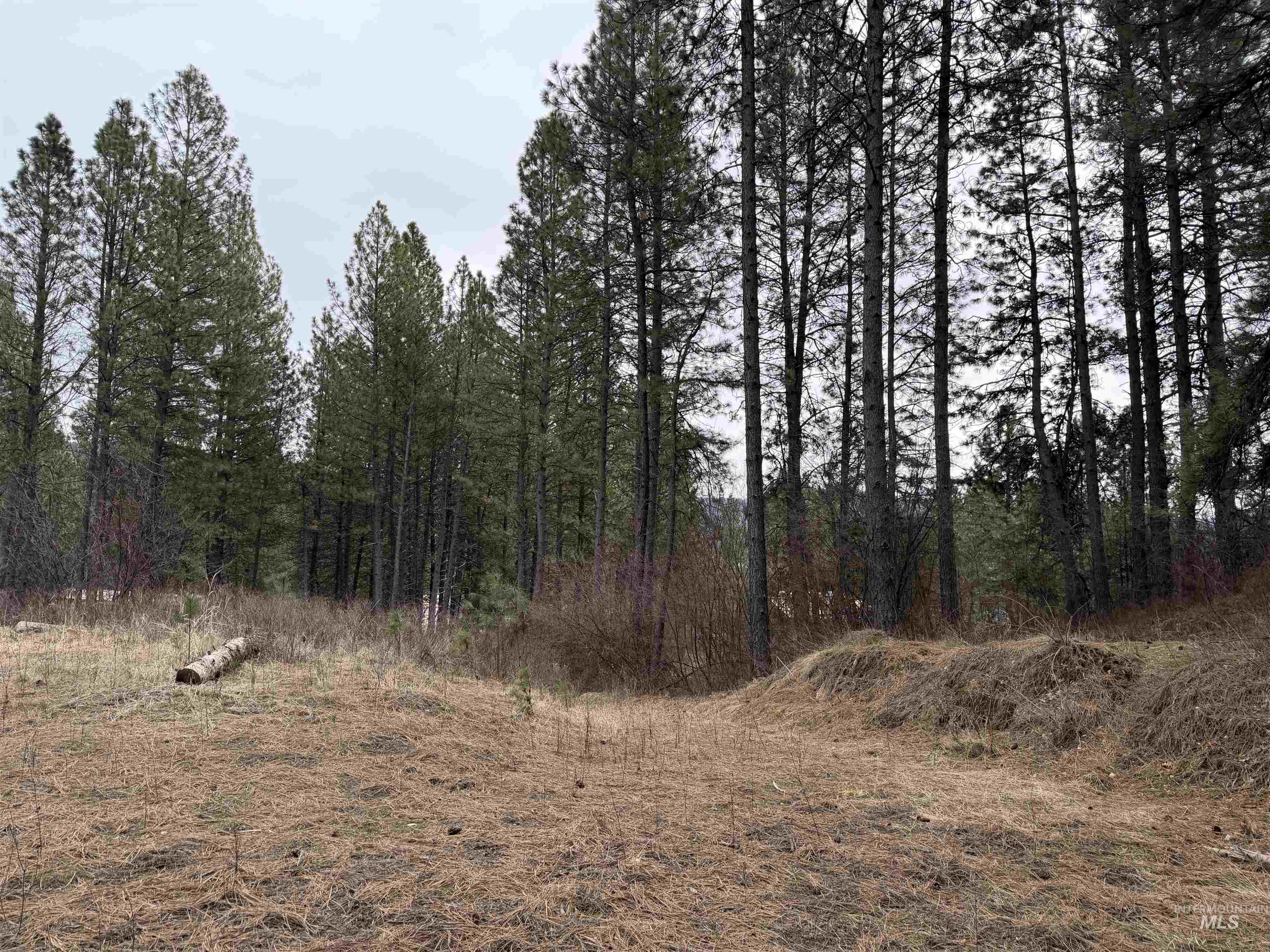 Parcel B South Middlefork Road Garden Valley, ID 83622 - Photo 6 of 12 View of nature