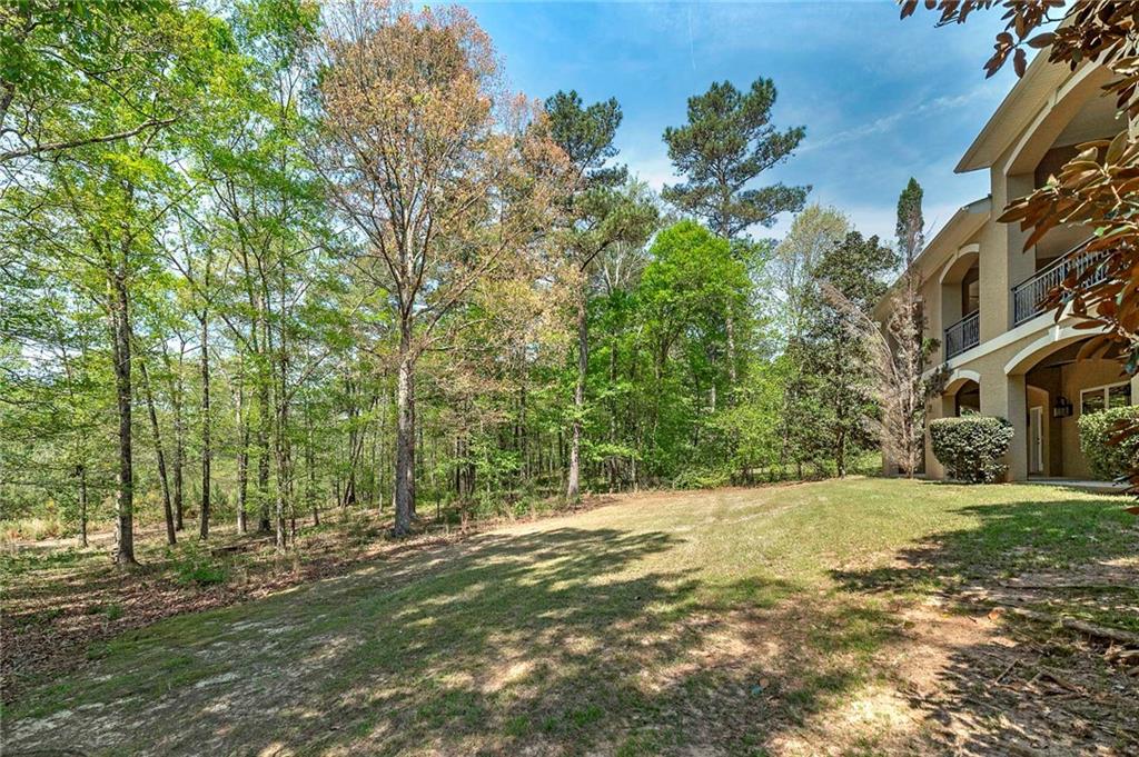 1307 Kinsale Court Locust Grove, GA 30248 - Photo 62 of 70