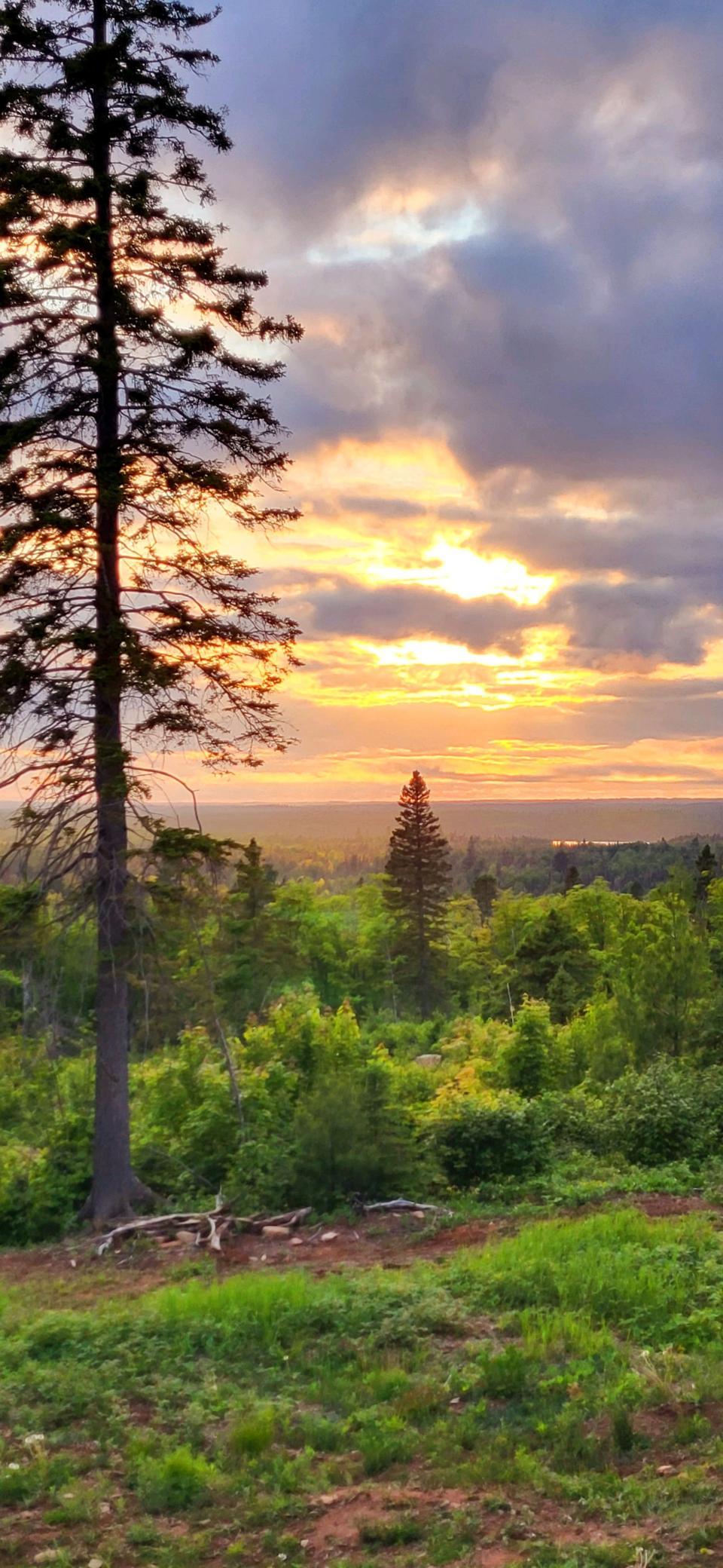 5241 Hut Two Road Finland, MN 55603 - Photo 15 of 29