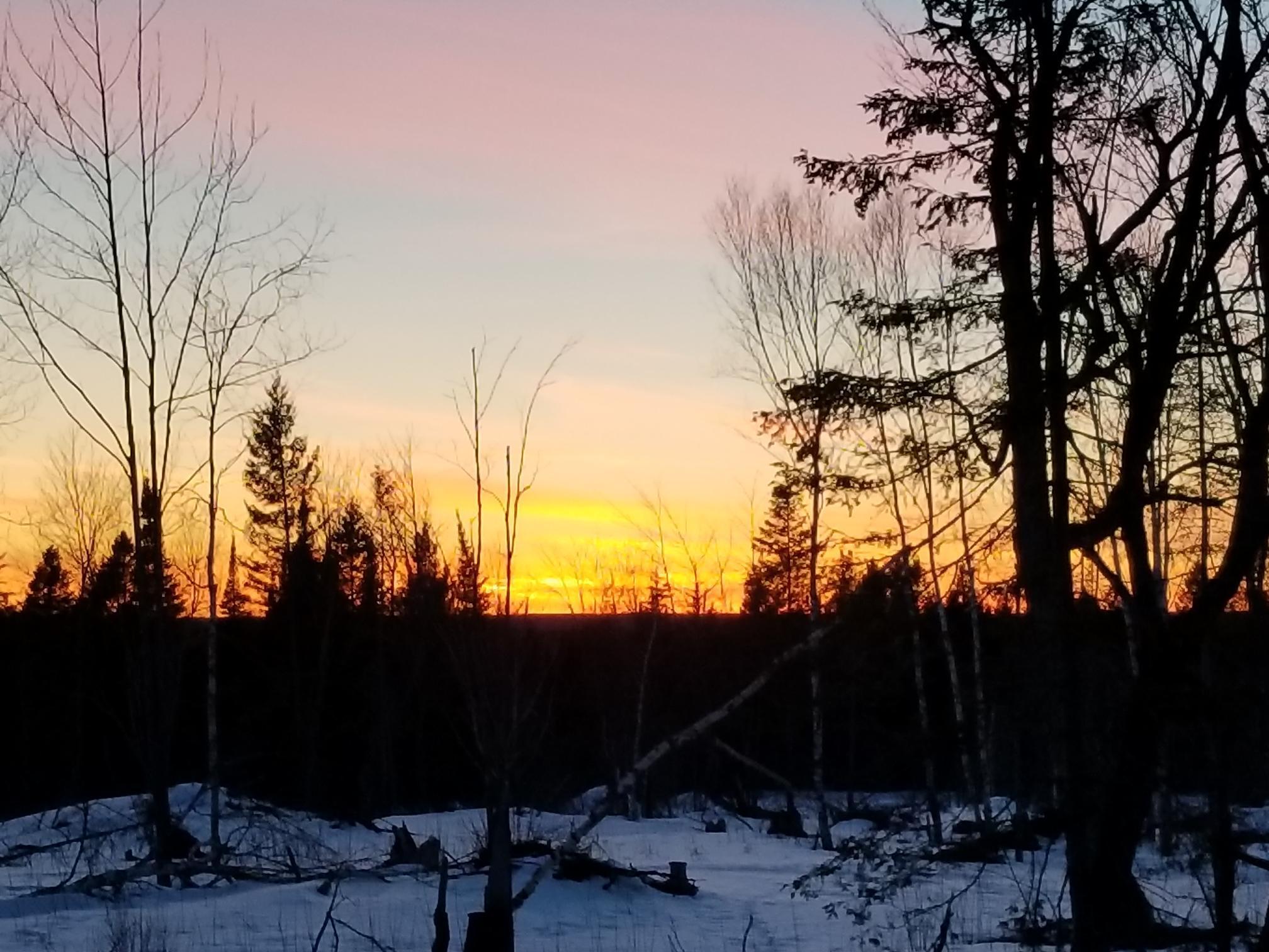 5241 Hut Two Road Finland, MN 55603 - Photo 16 of 29