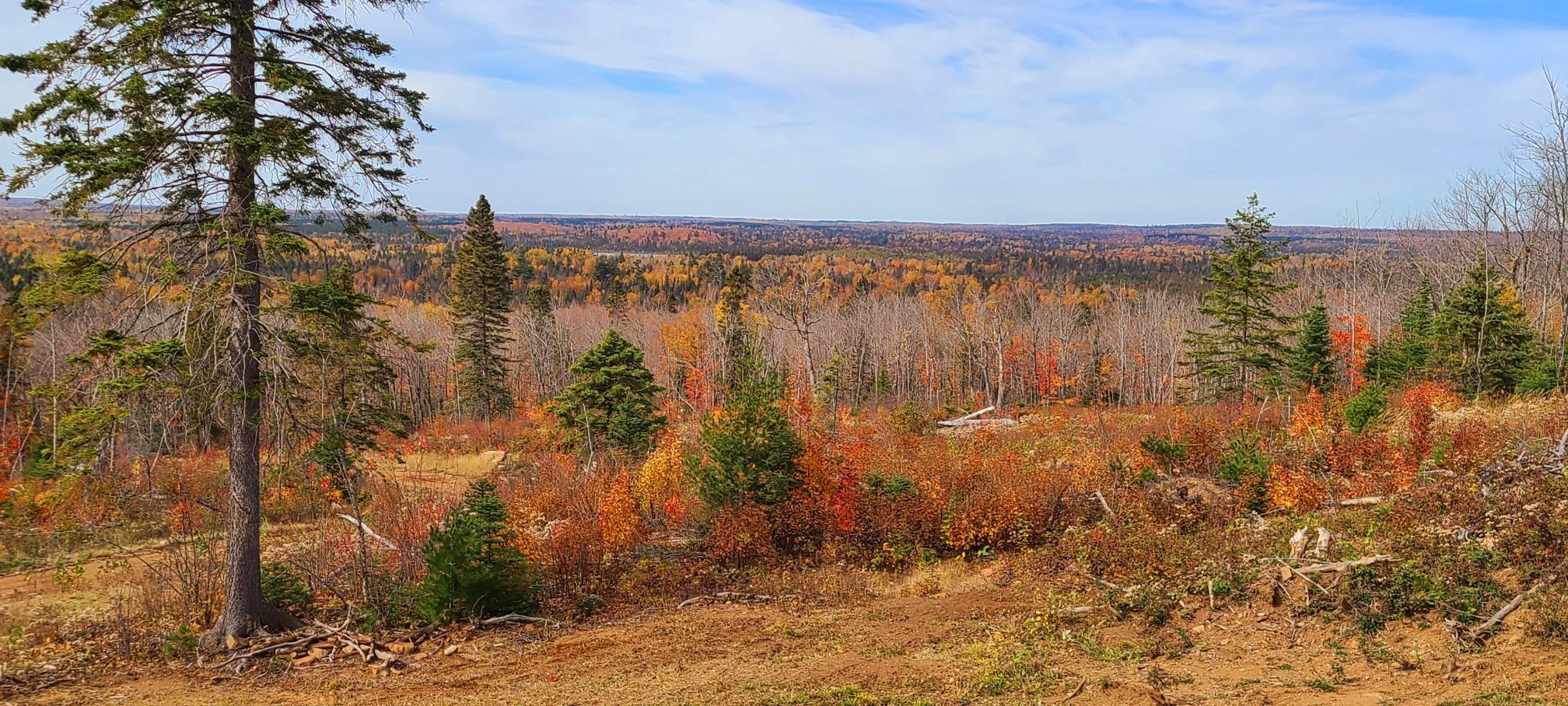 5241 Hut Two Road Finland, MN 55603 - Photo 17 of 29