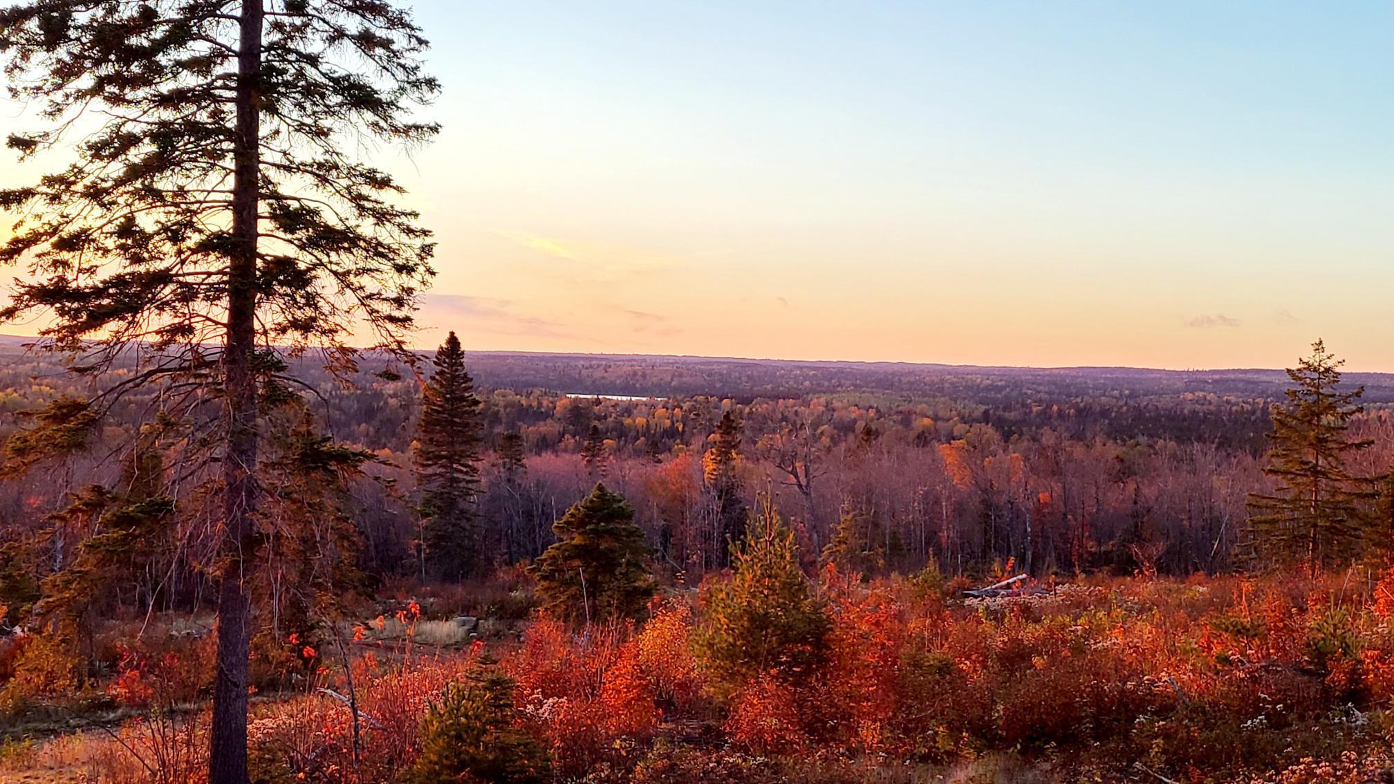 5241 Hut Two Road Finland, MN 55603 - Photo 18 of 29