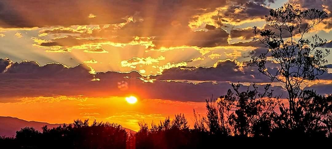 5241 Hut Two Road Finland, MN 55603 - Photo 20 of 29