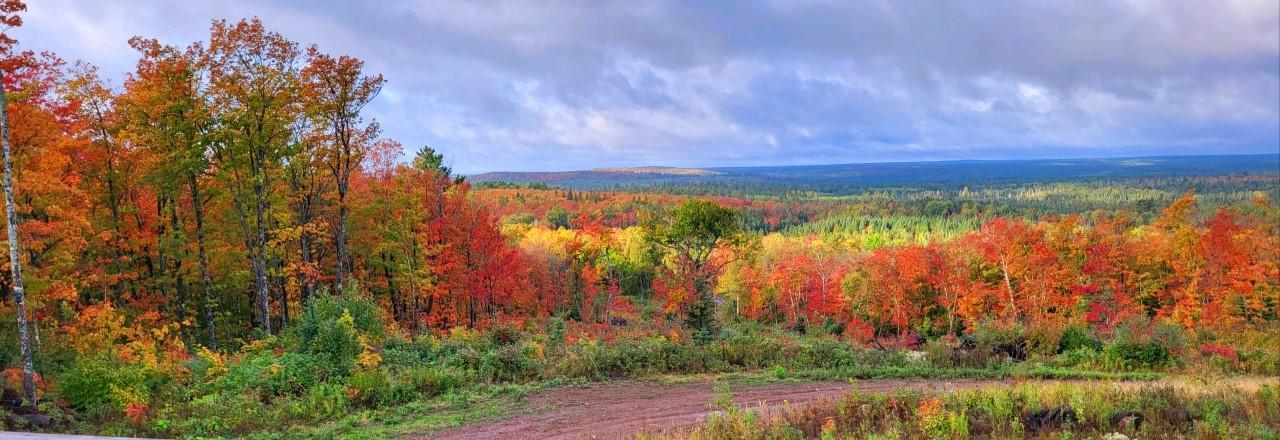 5241 Hut Two Road Finland, MN 55603 - Photo 22 of 29