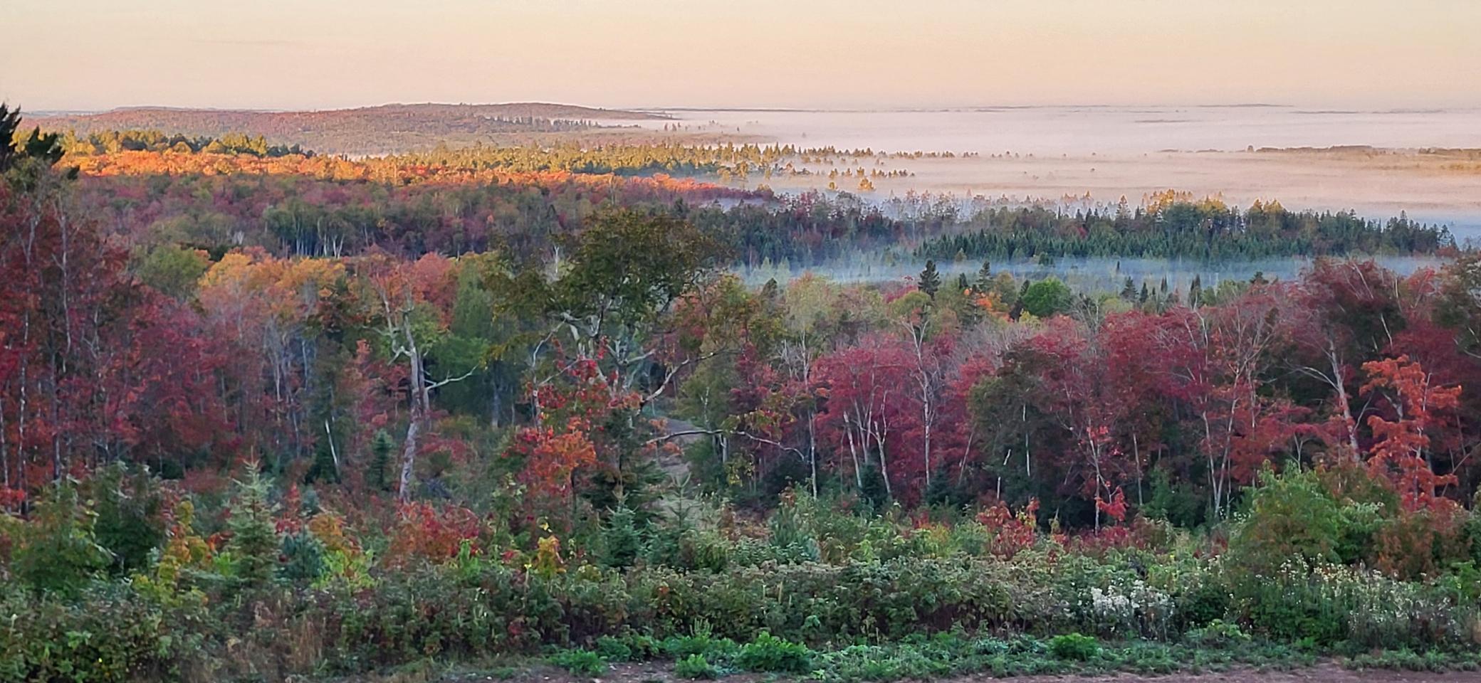 5241 Hut Two Road Finland, MN 55603 - Photo 25 of 29