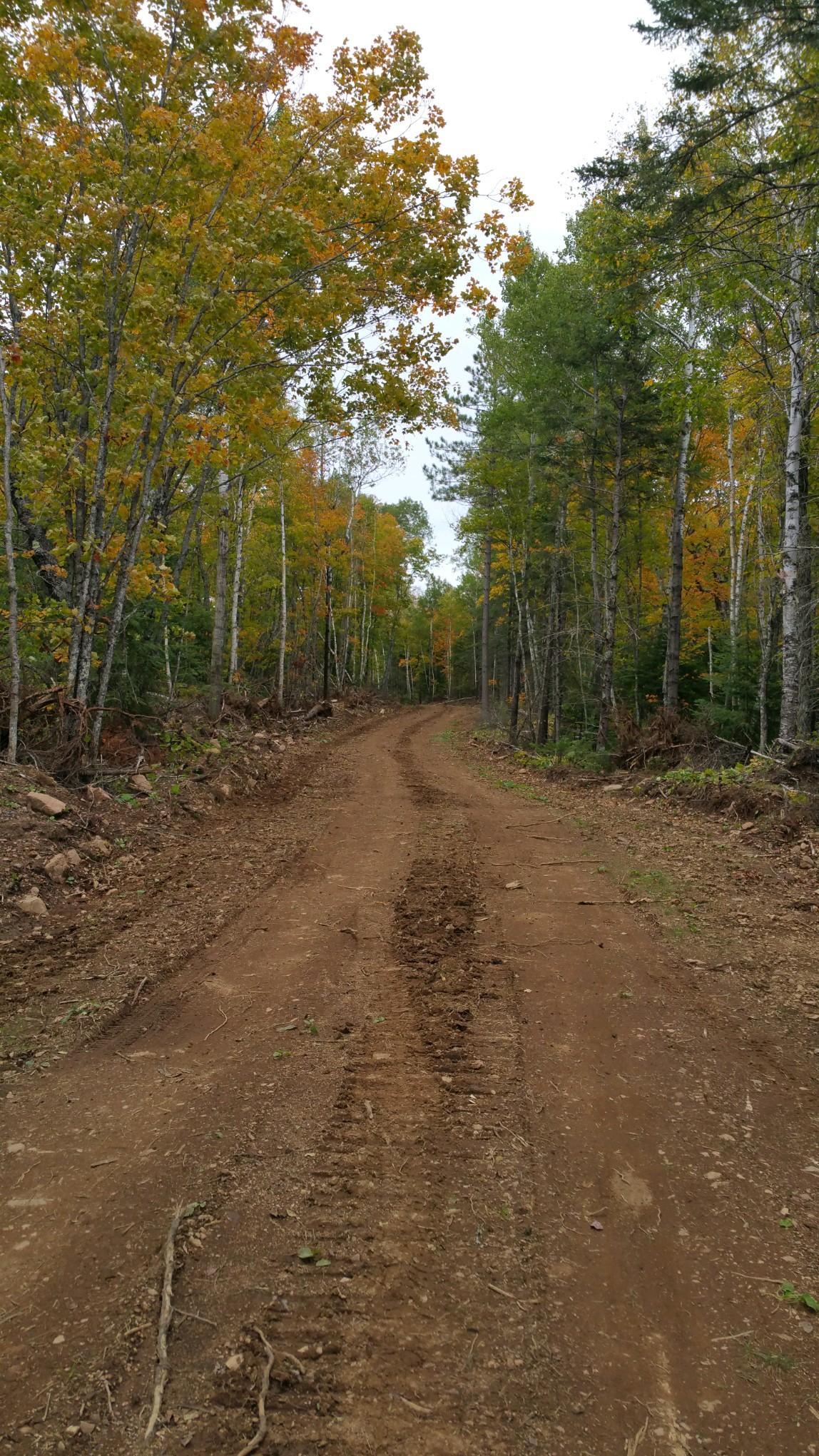 5241 Hut Two Road Finland, MN 55603 - Photo 6 of 29