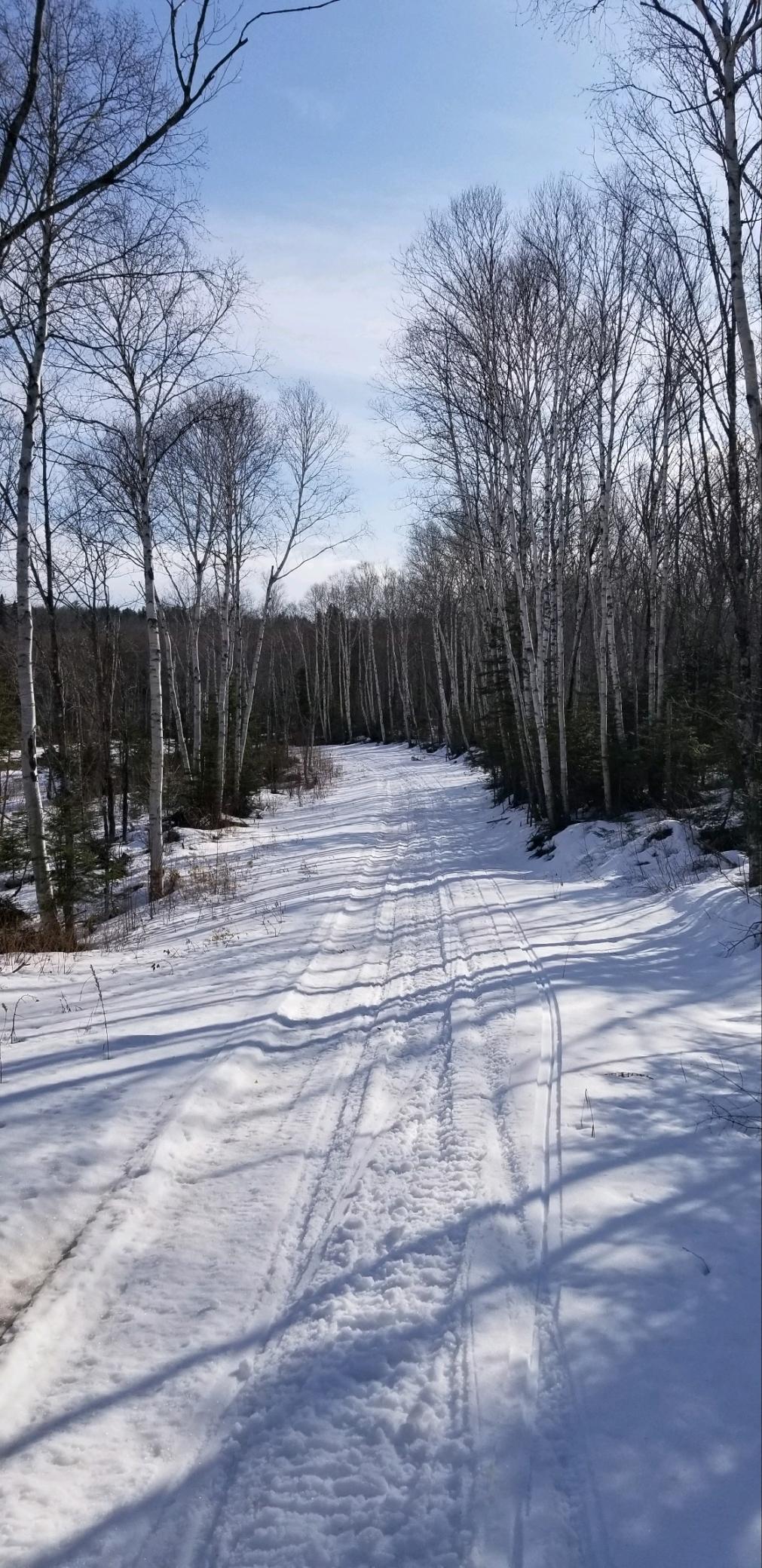 5241 Hut Two Road Finland, MN 55603 - Photo 7 of 29