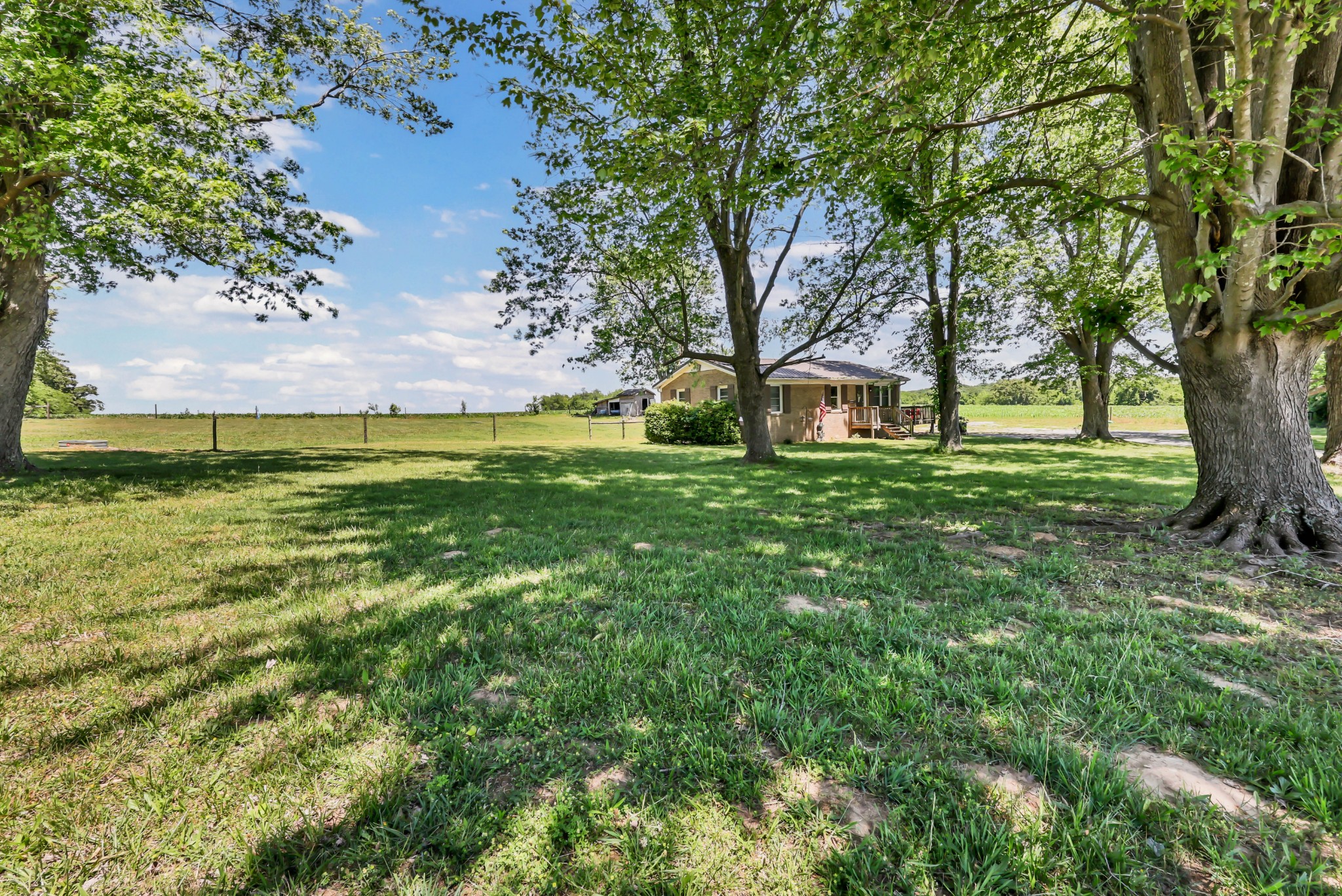 1068 Hugh Hunter Road Oak Grove, KY 42262 - Photo 6 of 30 a view of a trees in a yard next to a building