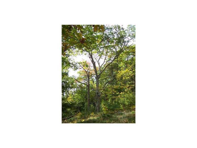 Lot 1 Clarks Point Road Wiscasset, ME 04578 - Photo 1 of 4 Other.