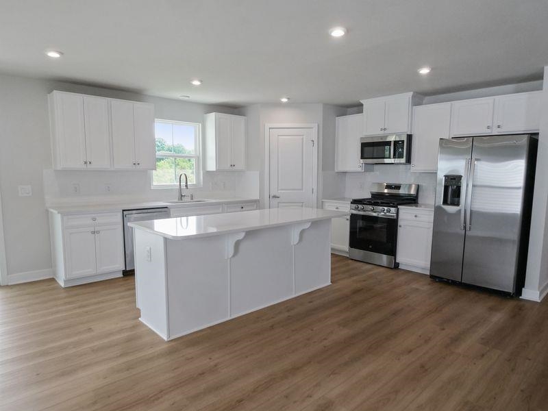 1508 Trigger Way Landrum, SC 29356 - Photo 2 of 6