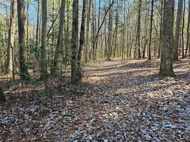 $40,000 | 0 Beaver Dam Road, Murphy, NC 28906