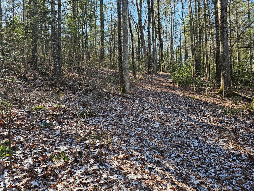 0 Beaver Dam Road Murphy, NC 28906 - Photo 2 of 7