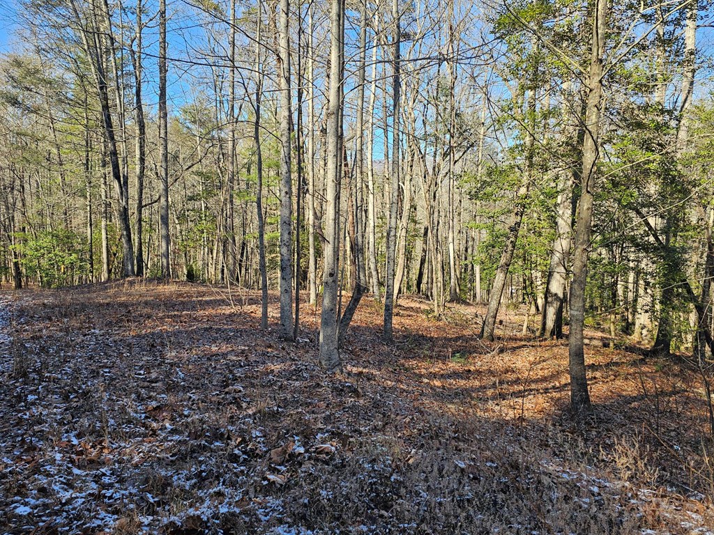 0 Beaver Dam Road Murphy, NC 28906 - Photo 6 of 7