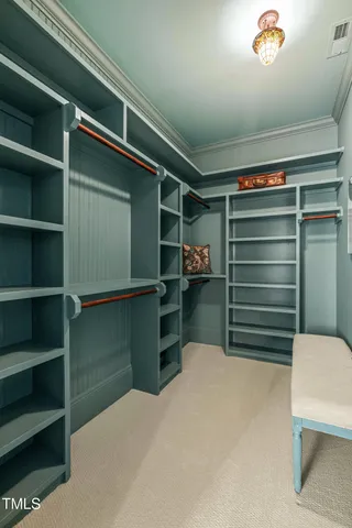 a room with a furniture and a potted plant