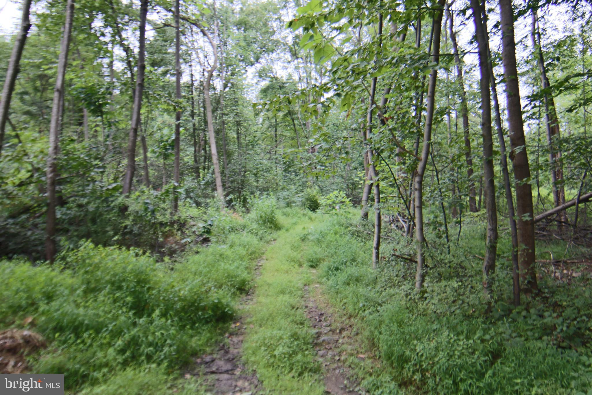 9706 Mountain Road Grantville, PA 17028 - Photo 18 of 35