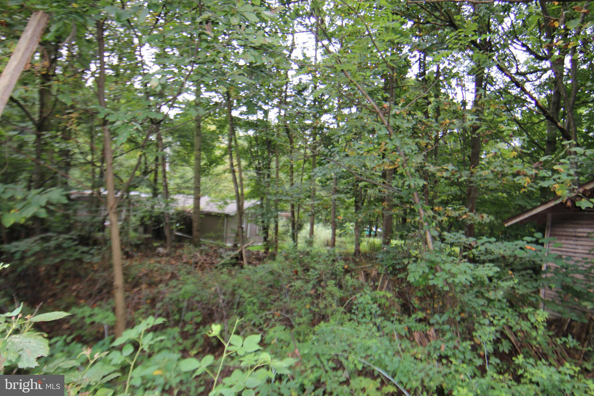 9706 Mountain Road Grantville, PA 17028 - Photo 27 of 35