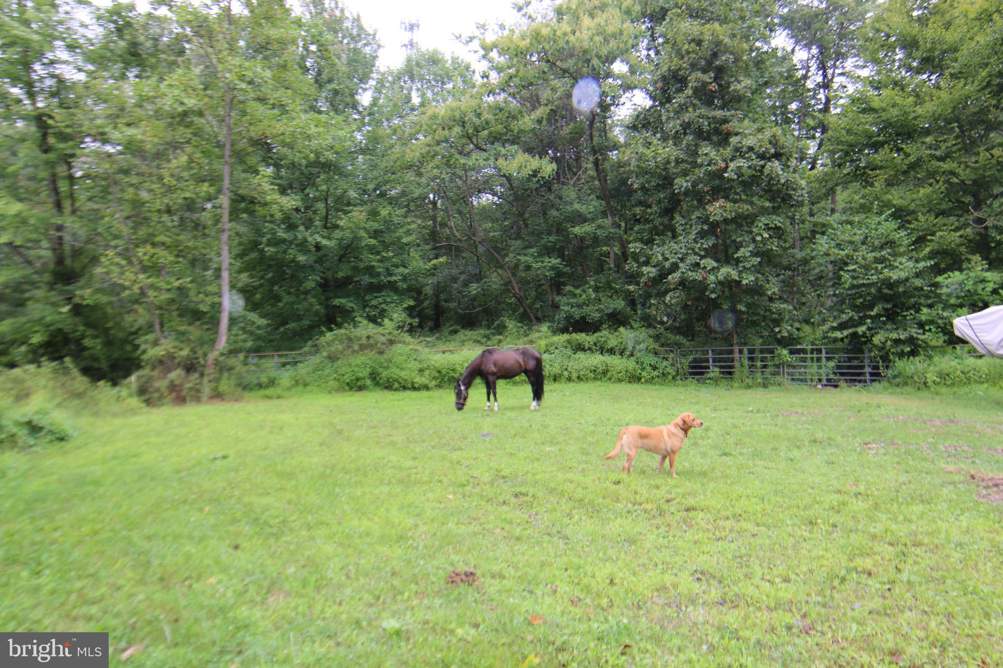 9706 Mountain Road Grantville, PA 17028 - Photo 32 of 35