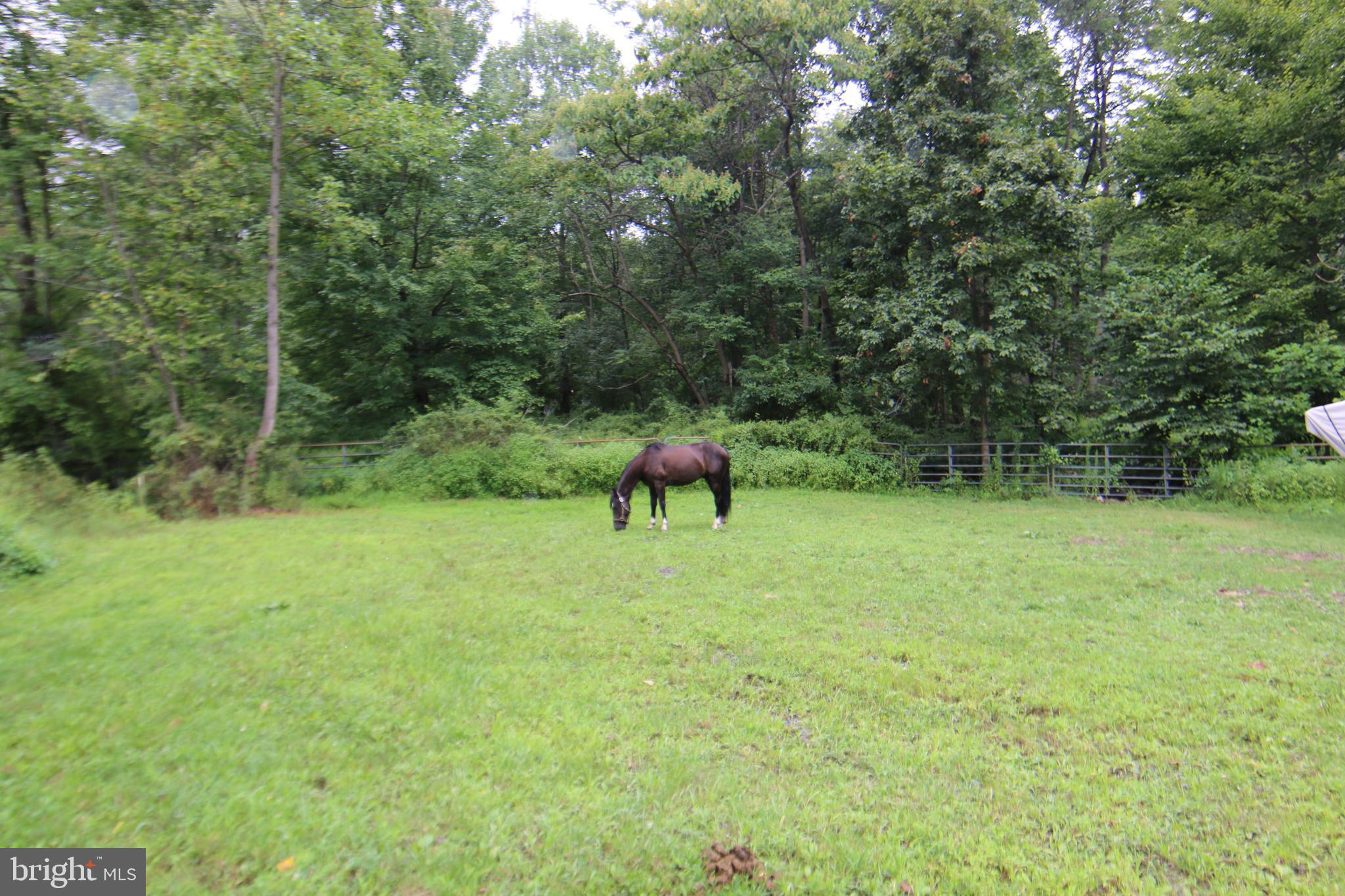 9706 Mountain Road Grantville, PA 17028 - Photo 34 of 35