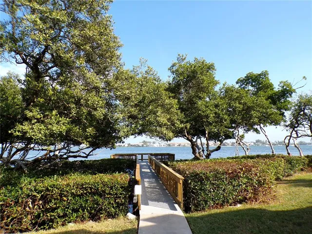a view of a garden with plants and trees