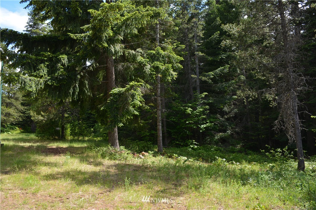5630 Nelson Siding Road Cle Elum, WA 98922 - Photo 10 of 35 Gallery Image 10