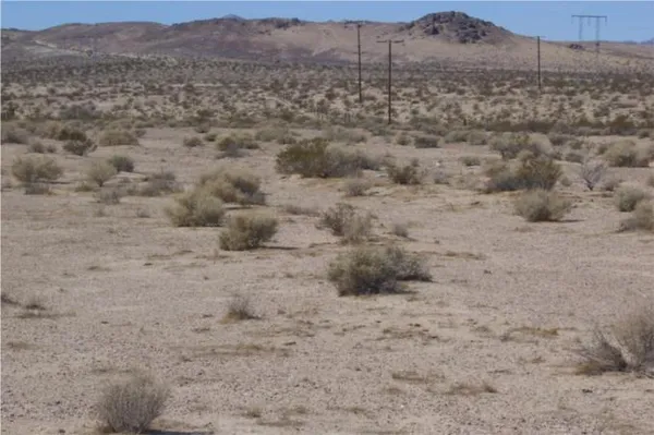 $180,800 | 46016 Mannix Road, Newberry Springs, CA 92365