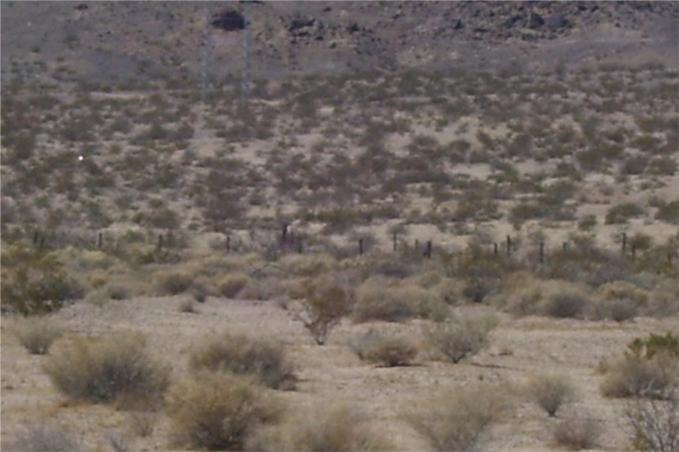 46016 Mannix Road Newberry Springs, CA 92365 - Photo 7 of 10