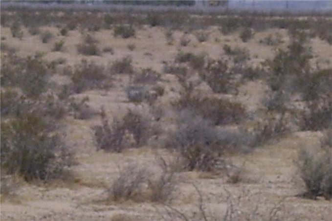 46016 Mannix Road Newberry Springs, CA 92365 - Photo 10 of 10