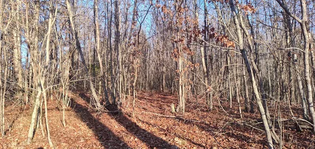 $150,000 | 2143 Gizzard Creek Road, Sequatchie, TN 37374