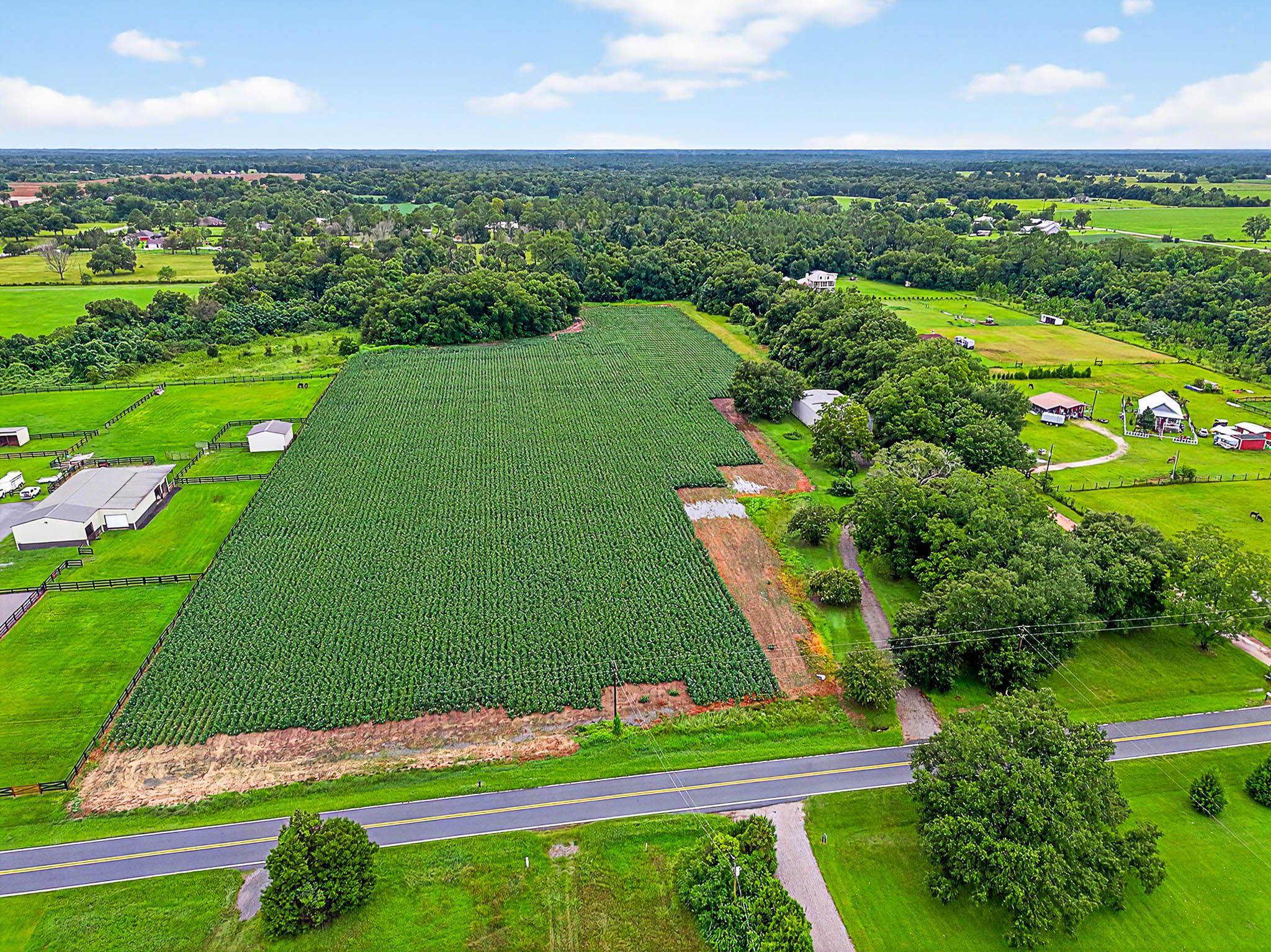 17270 Davis Road Summerdale, AL 36580 - Photo 49 of 97 Aerial View