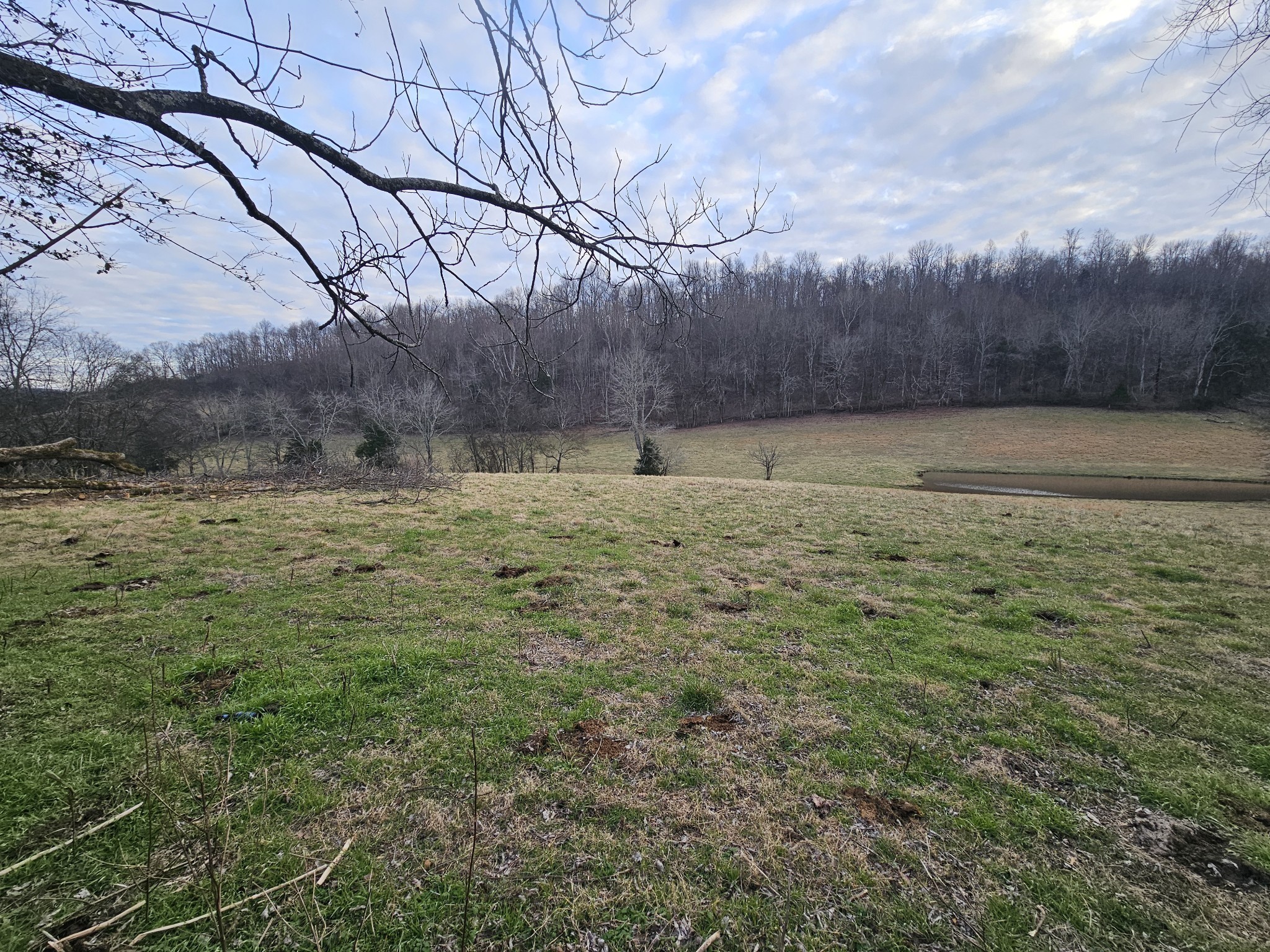4 B Normandy Road Normandy, TN 37360 - Photo 4 of 10